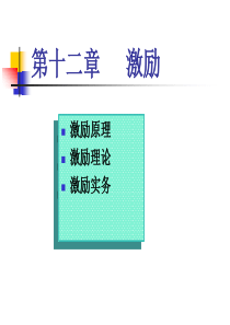 12第十二章激励