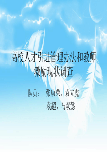 13高校人才引进及教师激励机制现状调查后期1