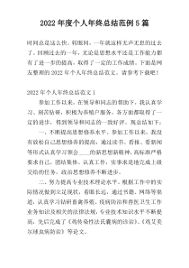2022年度个人年终总结范例5篇