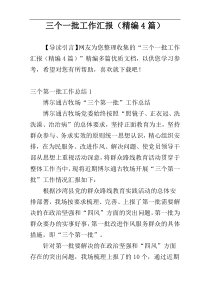 三个一批工作汇报（精编4篇）