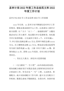 县审计局2022年度工作总结范文和2022年度工作计划