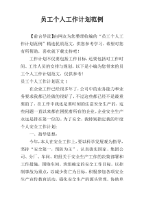 员工个人工作计划范例