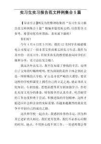 实习生实习报告范文样例集合5篇