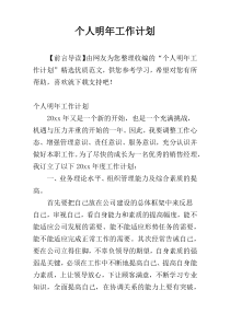 个人明年工作计划