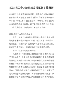2022员工个人阶段性总结范例5篇最新