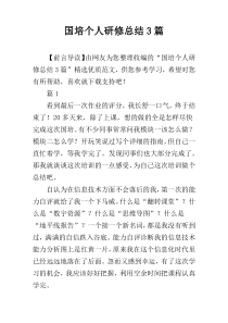国培个人研修总结3篇