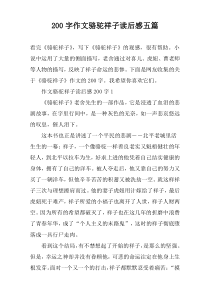 200字作文骆驼祥子读后感五篇
