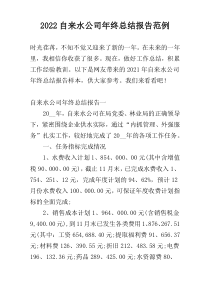 2022自来水公司年终总结报告范例
