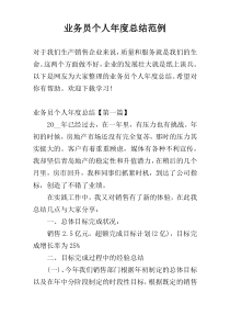 业务员个人年度总结范例