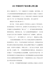 200字骆驼祥子读后感心得五篇