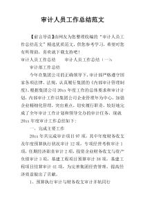 审计人员工作总结范文