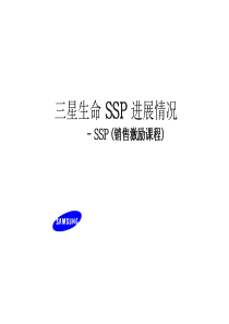 三星生命销售激励系统（PPT 15页）