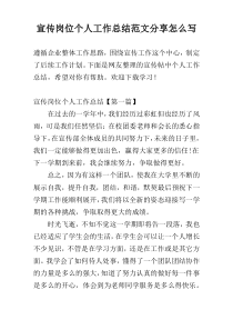 宣传岗位个人工作总结范文参考怎么写