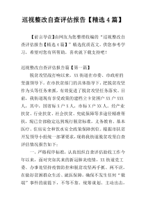 巡视整改自查评估报告【精选4篇】