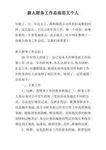 新人财务工作总结范文个人