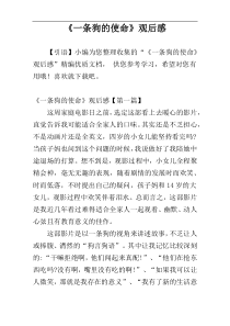 《一条狗的使命》观后感