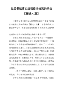 党委书记落实巡视整改情况的报告【精选4篇】