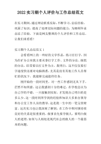 2022实习期个人评价与工作总结范文