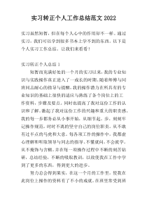 实习转正个人工作总结范文2022