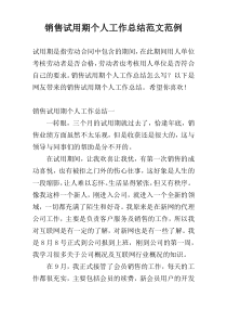 销售试用期个人工作总结范文范例