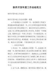 软件开发年度工作总结范文
