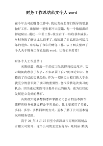 财务工作总结范文个人word