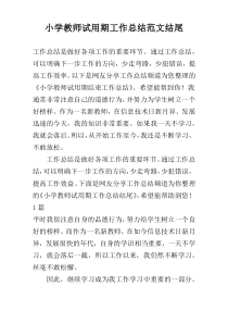 小学教师试用期工作总结范文结尾