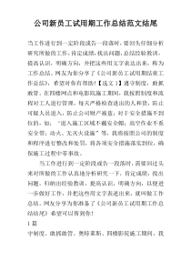 公司新员工试用期工作总结范文结尾