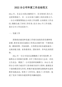 2022分公司年度工作总结范文