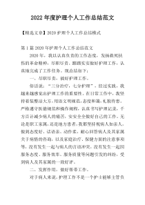 2022年度护理个人工作总结范文