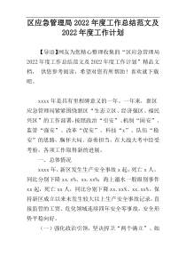 区应急管理局2022年度工作总结范文及2022年度工作计划