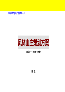 《凤林山庄策划案》