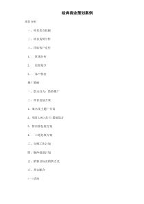 经典商业策划案例