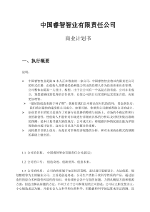 中国睿智智业有限责任公司商业计划书