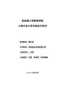 大学生创业：创业咨询有限公司计划书