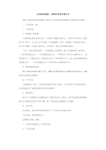 吉利控股战略、品牌咨询项目建议书