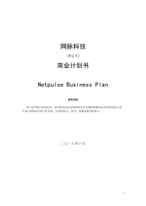 网脉科技商业计划书