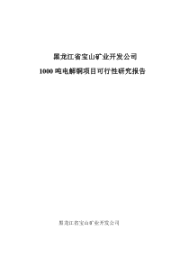电解铜项目可行性研究报告