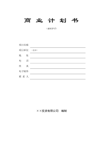 风险公司商业计划书样本