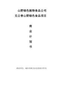 野绿色植物食品公司无公害山野绿色食品项目商业计划书