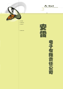 电子有限公司－创业计划书