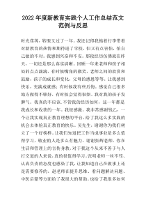 2022年度新教育实践个人工作总结范文范例与反思