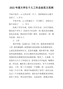 2022年度大学生个人工作总结范文范例