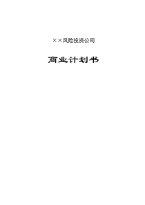风险投资公司商业计划书