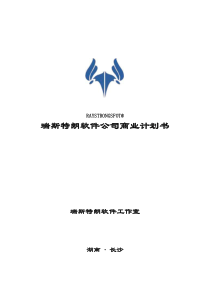 软件公司(电子商务互联网广告应用)商业计划书