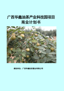 油茶产业科技园项目商业计划书