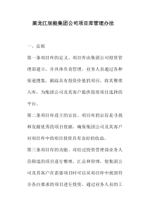 辰能集团公司项目库管理办法