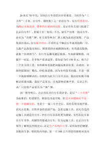 自行车厂企业诊断