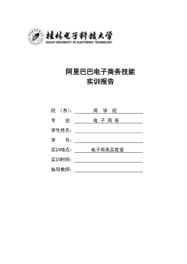 阿里巴巴电子商务技能实训报告
