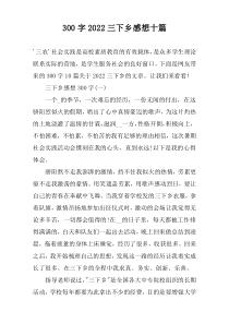 300字2022三下乡感想十篇